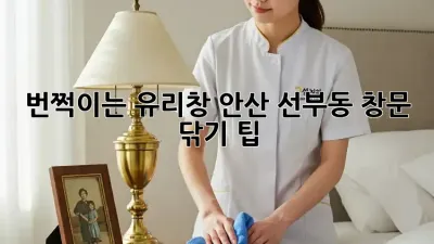 번쩍이는 유리창: 안산 선부동 창문 닦기 팁