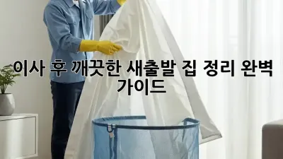 이사 후, 깨끗한 새출발! 집 정리 완벽 가이드